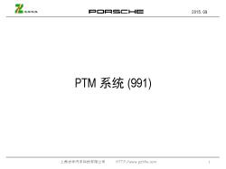 2.4-991 PTM 改