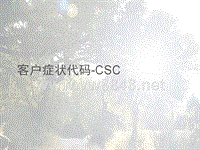 客户症状代码-CSC- V5-5.21