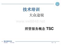 进口大众辉腾_照管服务概念 TSC