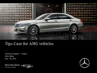Tips Case for AMG vehicles Topic Tips Case for AMG vehicles Validity
