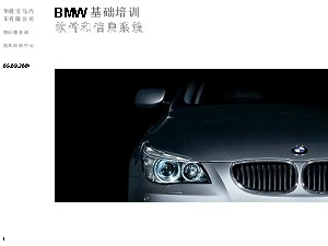 BMW Software and Information System