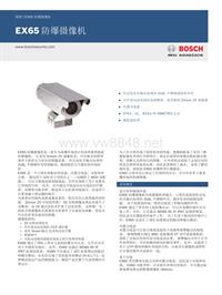 博世安保系统_EX65 防爆摄像机