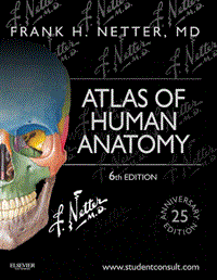 Atlas of Human Anatomy, Sixth Edition- Frank H. Netter, M.D
